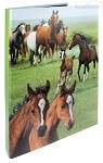 ringband 'Paarden'; 2-rings
